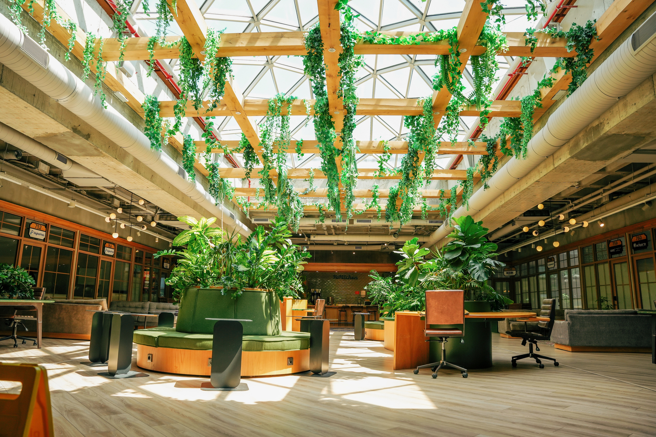 Clean Office with Houseplants